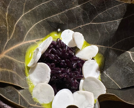 Dinner  at NOMA -Pop up in Los Angeles (The Paramour Estate)