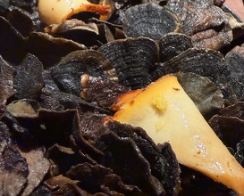 Dinner  at NOMA -Pop up in Los Angeles (The Paramour Estate)