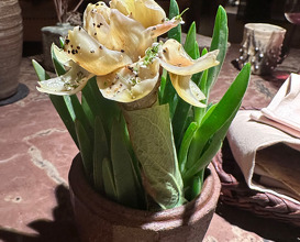 Dinner  at NOMA -Pop up in Los Angeles (The Paramour Estate)