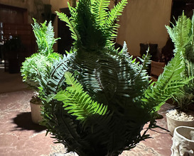 Dinner  at NOMA -Pop up in Los Angeles (The Paramour Estate)