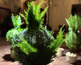 Dinner  at NOMA -Pop up in Los Angeles (The Paramour Estate)