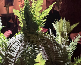 Dinner  at NOMA -Pop up in Los Angeles (The Paramour Estate)