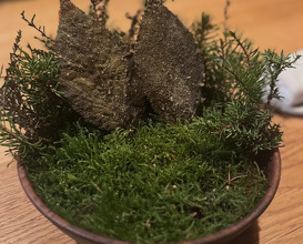 Dinner at kadeau