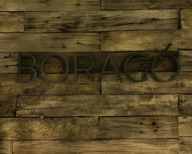Dinner at Boragó Restaurante