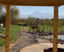 Dinner at UNAI Atacama