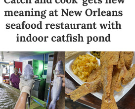 Dinner at Williby's Catfish