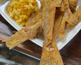 Dinner at Williby's Catfish