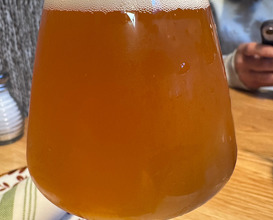 Dinner at YAVA Kitchen and Brewhouse