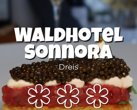 Dinner at Waldhotel Sonnora