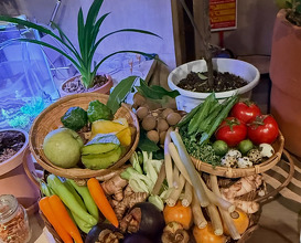 Dinner at Nusara - นุสรา