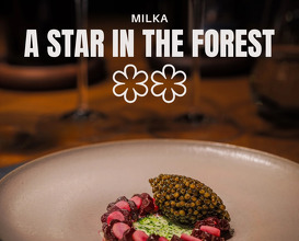 Dinner at Restaurant Milka