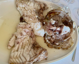 Dinner at Restaurante Cataria