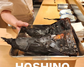 Dinner at 新橋 星野
