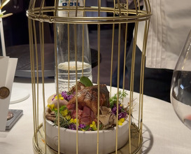 Dinner at Odille.restaurant