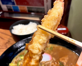 Dinner at うどん道場 谷六店
