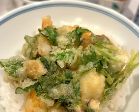 Dinner at 天ぷら こざき