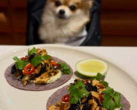 Dinner at Oxomoco