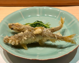 Dinner at 天てんぷら うち津