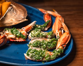Dinner at nudibranch