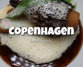 Dinner at Copenhagen, Denmark