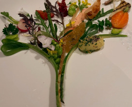 Dinner at Plenitude