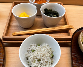 Dinner at Matsukawa (松川)