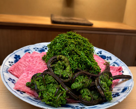 Dinner at Matsukawa (松川)
