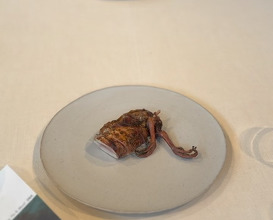 Dinner at OSA