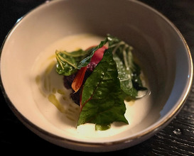 Dinner at Pujol Restaurant, Polanco