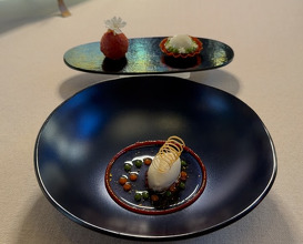 Dinner at Voro Restaurant