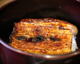 Dinner at 炭焼き鰻 瞬