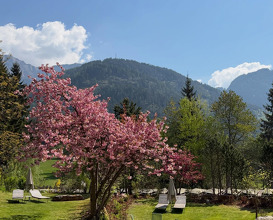 Dinner at Bad Schörgau