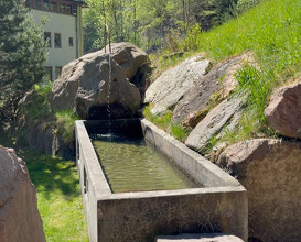 Dinner at Bad Schörgau