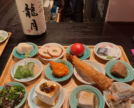 Dinner at Tokyo, Japan