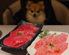Dinner at 焼肉ぽんが 田町店