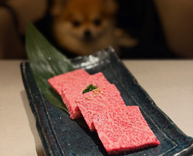 Dinner at 焼肉ぽんが 田町店
