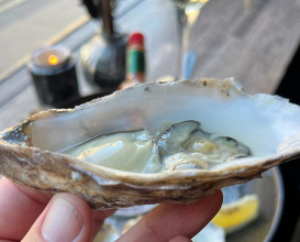 Dinner at White Horse Oyster & Seafood Bar