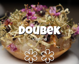 Dinner at Restaurant Doubek