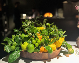 Dinner at Restaurant Doubek