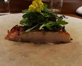 Dinner at スペイン料理 acá