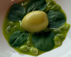 Dinner at Martin Beraarequi