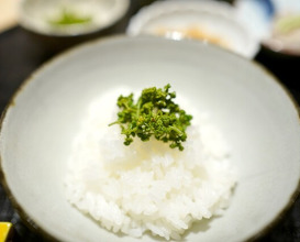 Dinner at 新ばし星野 - Hoshino