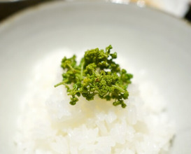 Dinner at 新ばし星野 - Hoshino