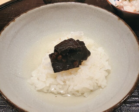 Dinner at 新ばし星野 - Hoshino