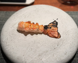 Dinner at 蒼 西麻布 - Ao Nishiazabu