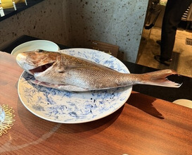 Dinner at 蒼 西麻布 - Ao Nishiazabu
