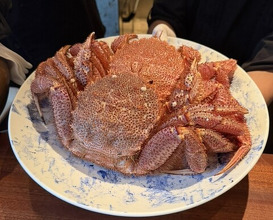 Dinner at 蒼 西麻布 - Ao Nishiazabu
