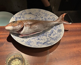 Dinner at 蒼 西麻布 - Ao Nishiazabu