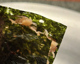 Dinner at 蒼 西麻布 - Ao Nishiazabu