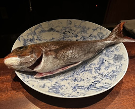Dinner at 蒼 西麻布 - Ao Nishiazabu